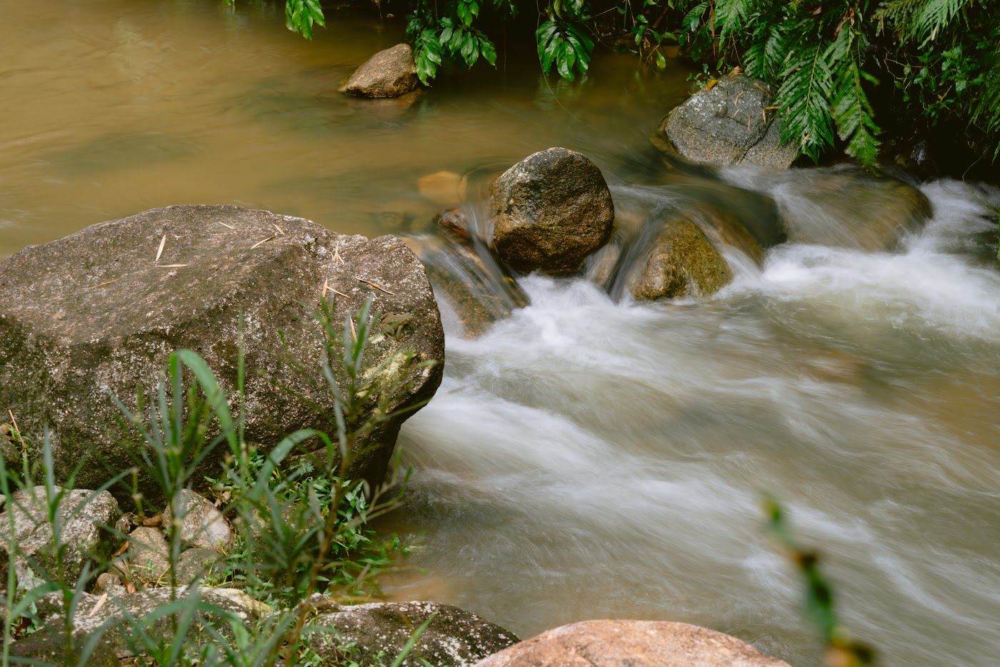 Anak sungai di belakang chalet MSM